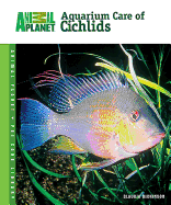 Aquarium Care of Cichlids