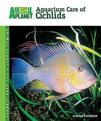 Aquarium Care of Cichlids - Dickinson, Claudia