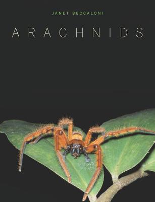 Arachnids - Beccaloni, Janet, and Brannan, Trudy
