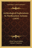 Archeological Explorations In Northeastern Arizona (1919)