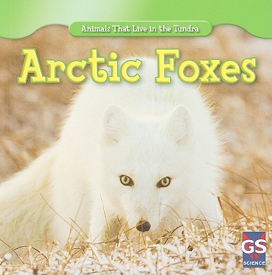 Arctic Foxes - Sisk, Maeve T
