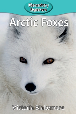 Arctic Foxes - Blakemore, Victoria