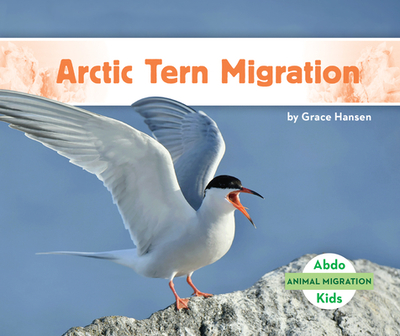 Arctic Tern Migration - Hansen, Grace