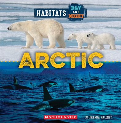 Arctic (Wild World: Habitats Day and Night) - Maloney, Brenna