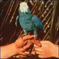 Are You Serious [LP] - Andrew Bird