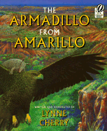 Armadillo from Amarillo