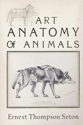 Art Anatomy of Animals - Seton, Ernest Thompson