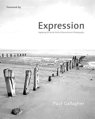 Aspects of Expression: Exploring the Art & Craft of Monochrome Photography - Gallagher, Paul, and Cornish, Joe