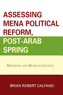Assessing Mena Political Reform, Post-Arab Spring: Mediators and Microfoundations
