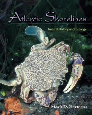 Atlantic Shorelines: Natural History and Ecology - Bertness, Mark D