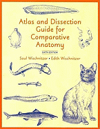 Atlas and Dissection Guide for Comparative Anatomy - Wischnitzer, Saul
