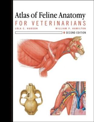 Atlas of Feline Anatomy for Veterinarians - Hudson, Lola, and Hamilton, William