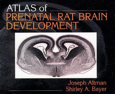 Atlas of Prenatal Rat Brain Development - Altman, Joseph, and Bayer, Shirley a