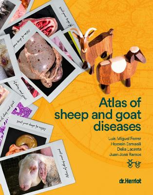 Atlas of Sheep and Goat Diseases - Ferrer, Luis Miguel, and Esmaeili, Hossein, and Lacasta, Delia