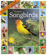Audubon Songbirds and Other Backyard Birds Picture-a-Day Wall Calendar 2024: a Beautiful Bird Filled Way to Keep Track of 2024