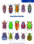 Australian Beetles Volume 1: Morphology, Classification and Keys