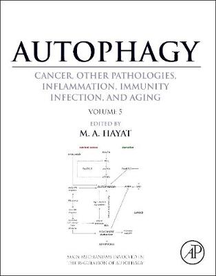 Autophagy: Cancer, Other Pathologies, Inflammation, Immunity, Infection, and Aging: Volume 5 - Role in Human Diseases - Hayat, M A (Editor)