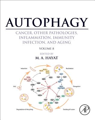 Autophagy: Cancer, Other Pathologies, Inflammation, Immunity, Infection, and Aging: Volume 8- Human Diseases - Hayat, M A (Editor)