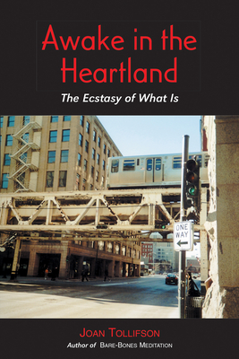 Awake in the Heartland: The Ecstasy of What Is - Tollifson, Joan