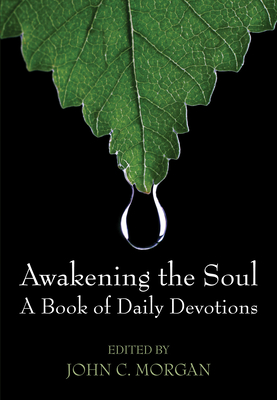 Awakening the Soul - Morgan, John C, Ph.D.