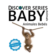 Baby Animals / Animales Bebs