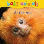 Baby Animals at the Zoo