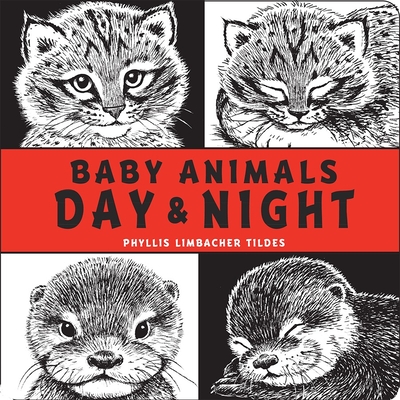 Baby Animals Day & Night - 