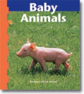 Baby Animals (Inquizitive, 18)