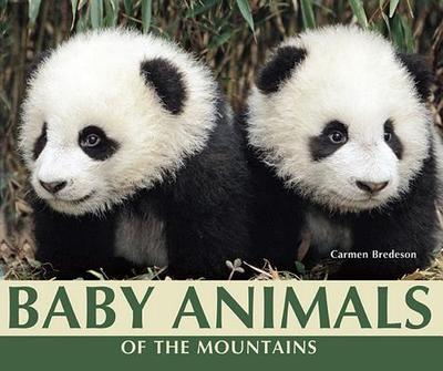 Baby Animals of the Mountains - Bredeson, Carmen