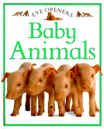 Baby Animals