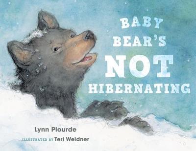 Baby Bear's Not Hibernating - Plourde, Lynn
