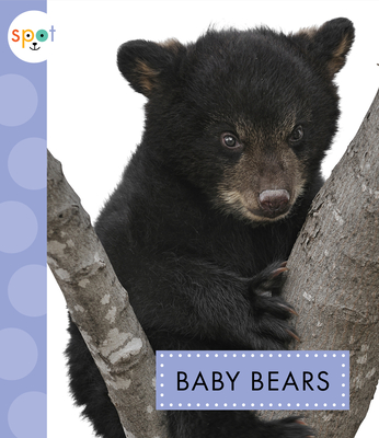 Baby Bears - Kelley, K C