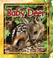 Baby Deer - Kalman, Bobbie