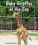 Baby Giraffes at the Zoo