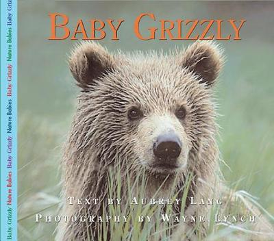 Baby Grizzly - Lang, Aubrey, and Lynch, Wayne, Dr. (Photographer)