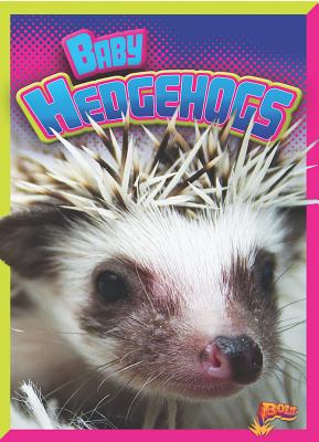 Baby Hedgehogs - Caswell, Deanna