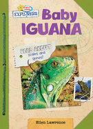 Baby Iguana