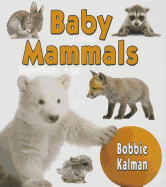 Baby Mammals