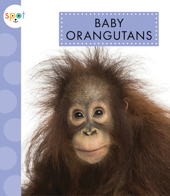 Baby Orangutans - Kelley, K C