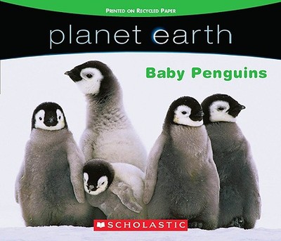 Baby Penguins - Scholastic (Creator)