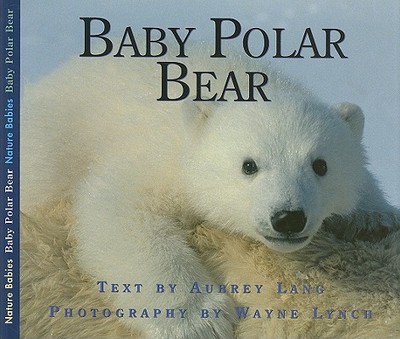 Baby Polar Bear - Lang, Aubrey, and Lynch, Wayne, Dr. (Photographer)