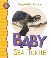 Baby Sea Turtle San Diego Zoo