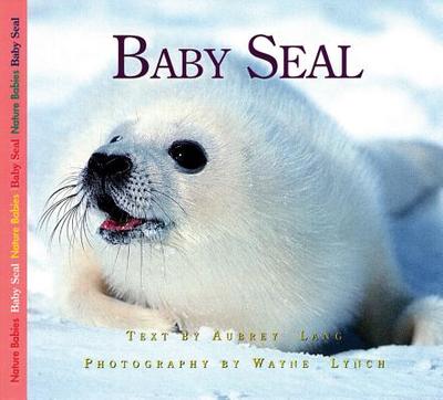 Baby Seal - Lang, Aubrey, and Lynch, Wayne, Dr. (Photographer)