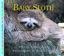 Baby Sloth - Lang, Aubrey, and Lynch, Wayne, Dr. (Photographer)