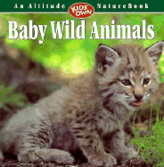 Baby Wild Animals