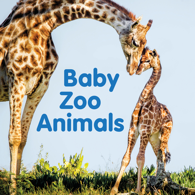 Baby Zoo Animals: Board book - New Holland Publishers