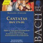 Bach: Cantatas, BWV 179-181