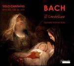 Bach: Solo Cantatas
