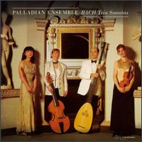 Bach: Trio Sonatas - Palladian Ensemble; Pamela Thorby (recorder); Rachel Podger (violin); Susanne Heinrich (viola da gamba); William Carter (lute); William Carter (guitar); William Carter (theorbo)