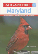 Backyard Birds of Maryland - Fenimore, Bill